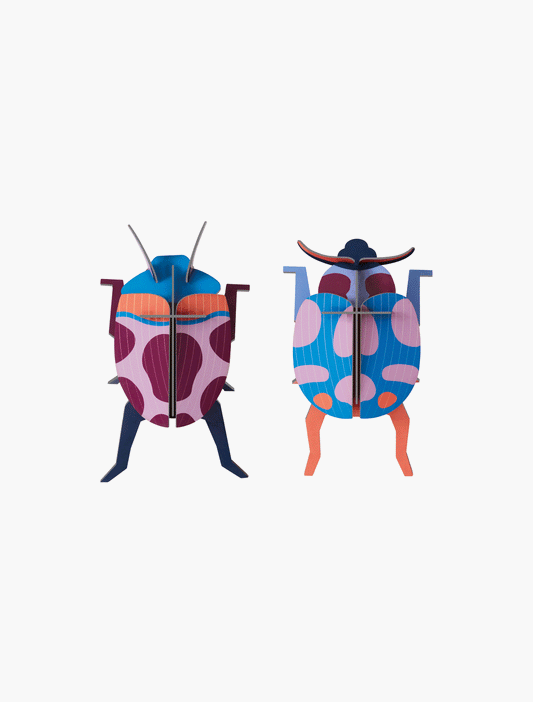 Kleines Insektenset: Marienkäferpaar