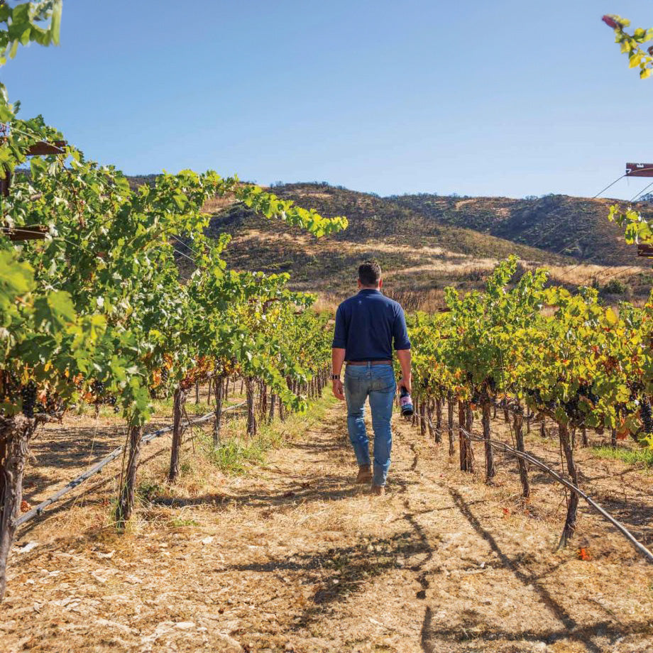 David Phinney - Orin Swift Cellars