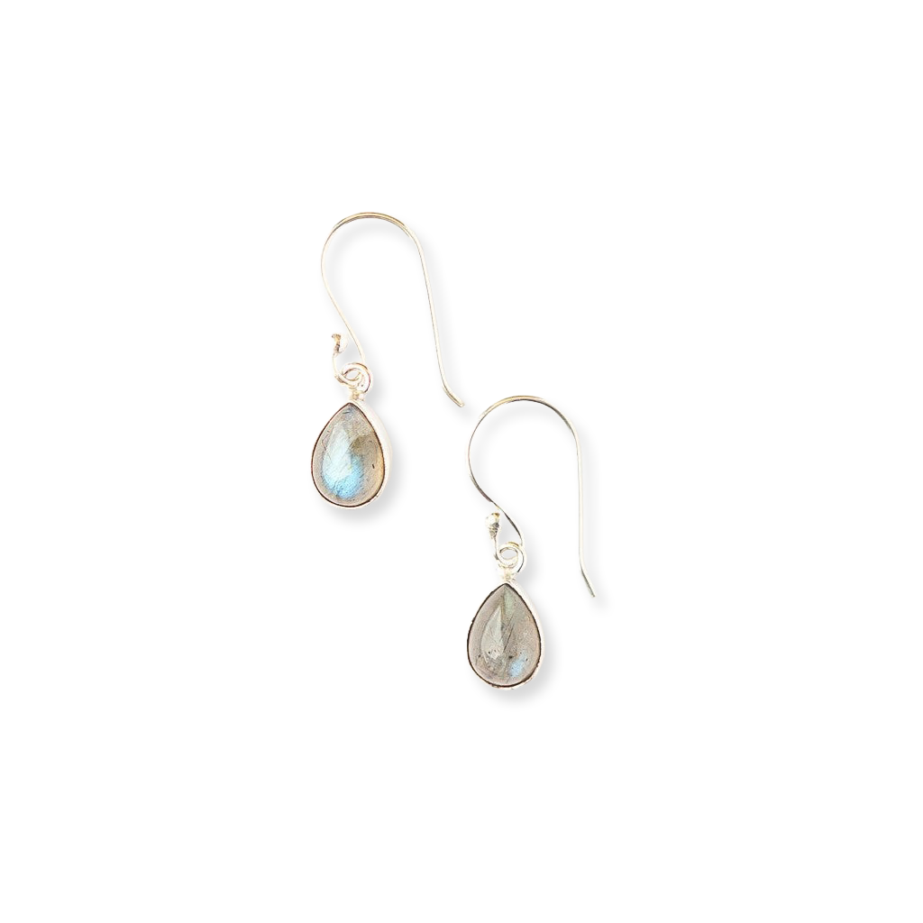 Labradorite Dewdrop Dangle Earrings