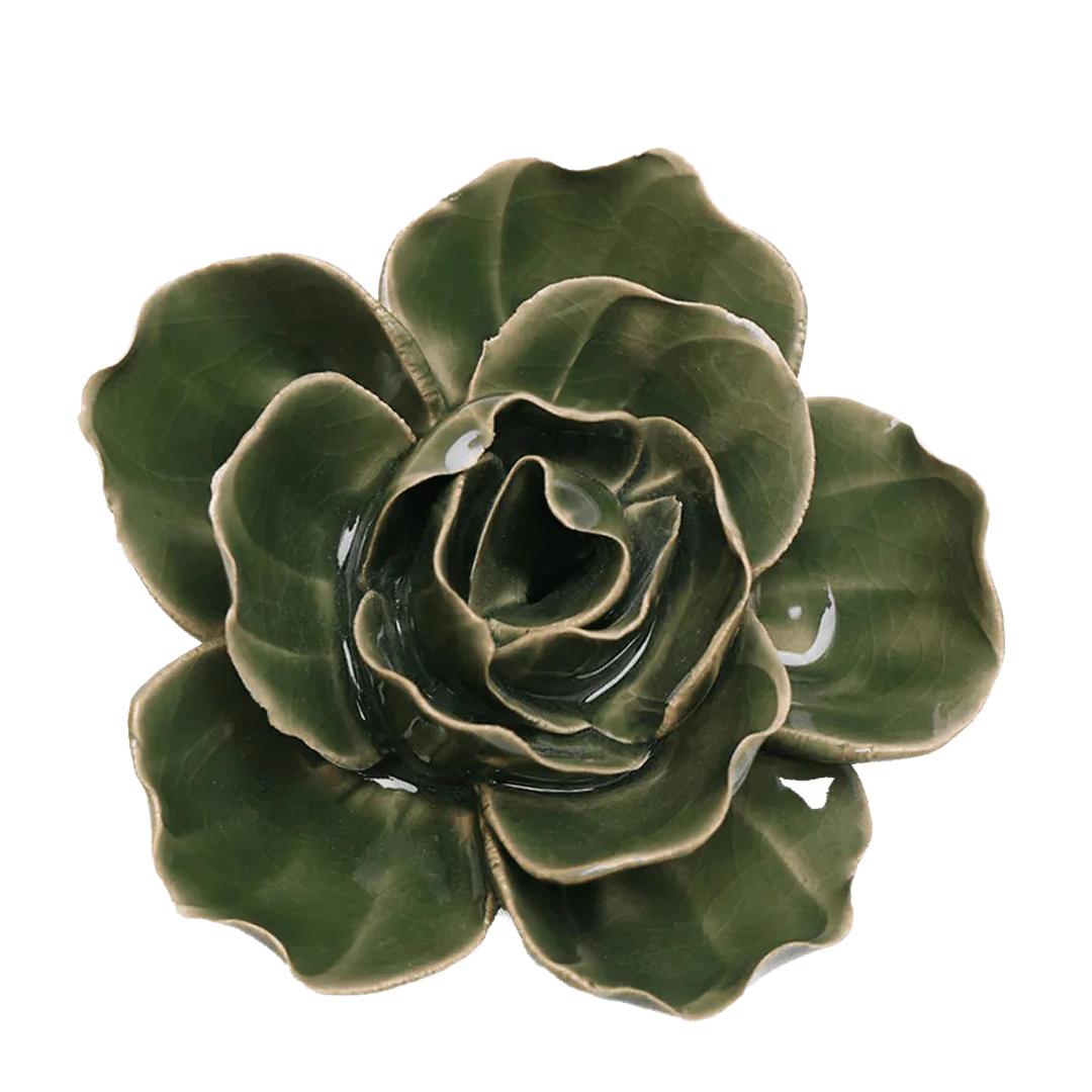 Ceramic Wallflower Fir Green Butterfly Ranunculus