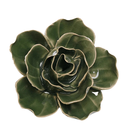 Ceramic Wallflower Fir Green Butterfly Ranunculus