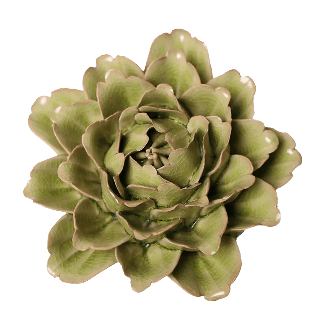 Green ceramic succulent on a white background