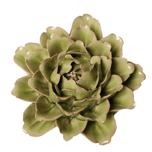 Green ceramic succulent on a white background