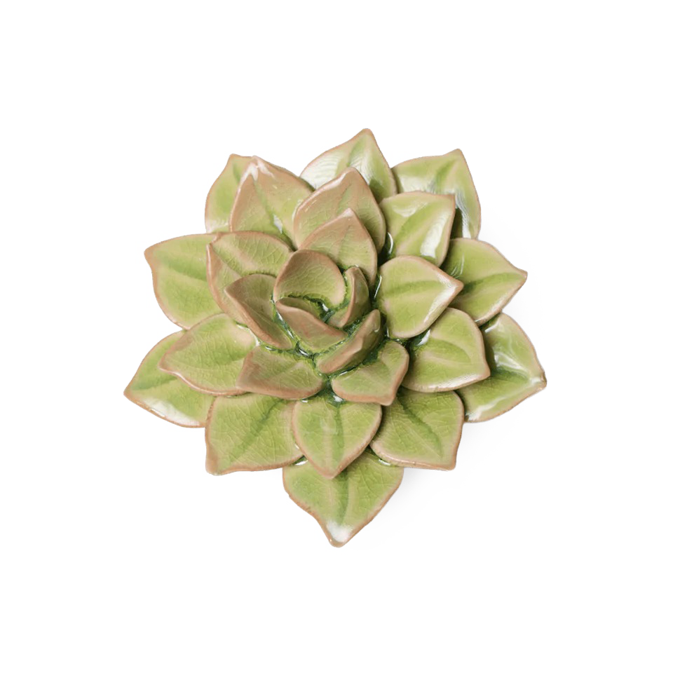 Ceramic Wallflower Peridot Green Fairy Echeveria