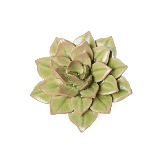 Ceramic Wallflower Peridot Green Fairy Echeveria