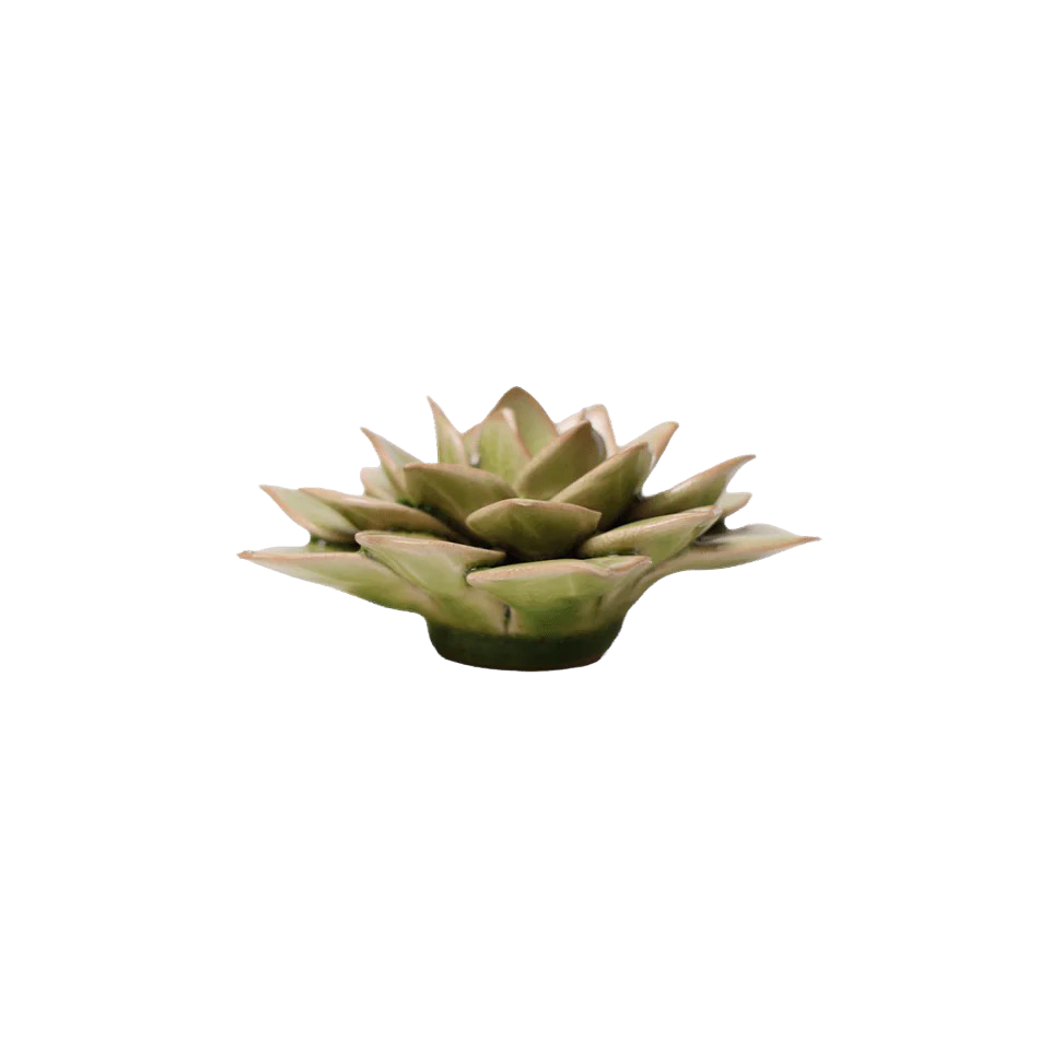 Ceramic Wallflower Peridot Green Fairy Echeveria