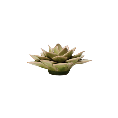 Ceramic Wallflower Peridot Green Fairy Echeveria