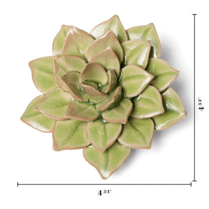 Ceramic Wallflower Peridot Green Fairy Echeveria