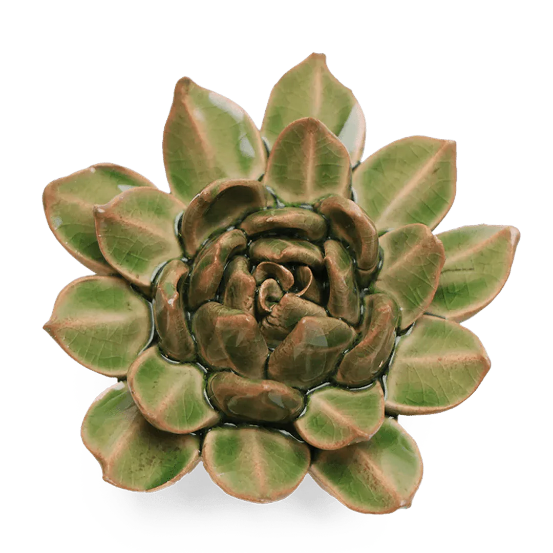 Green ceramic succulent plant on a white background