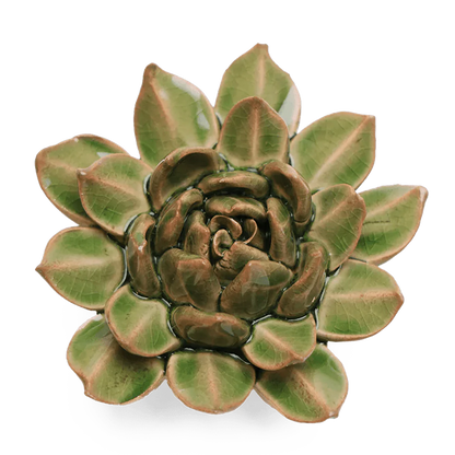 Green ceramic succulent plant on a white background