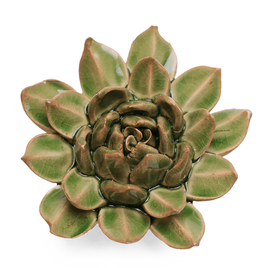 Green ceramic succulent plant on a white background