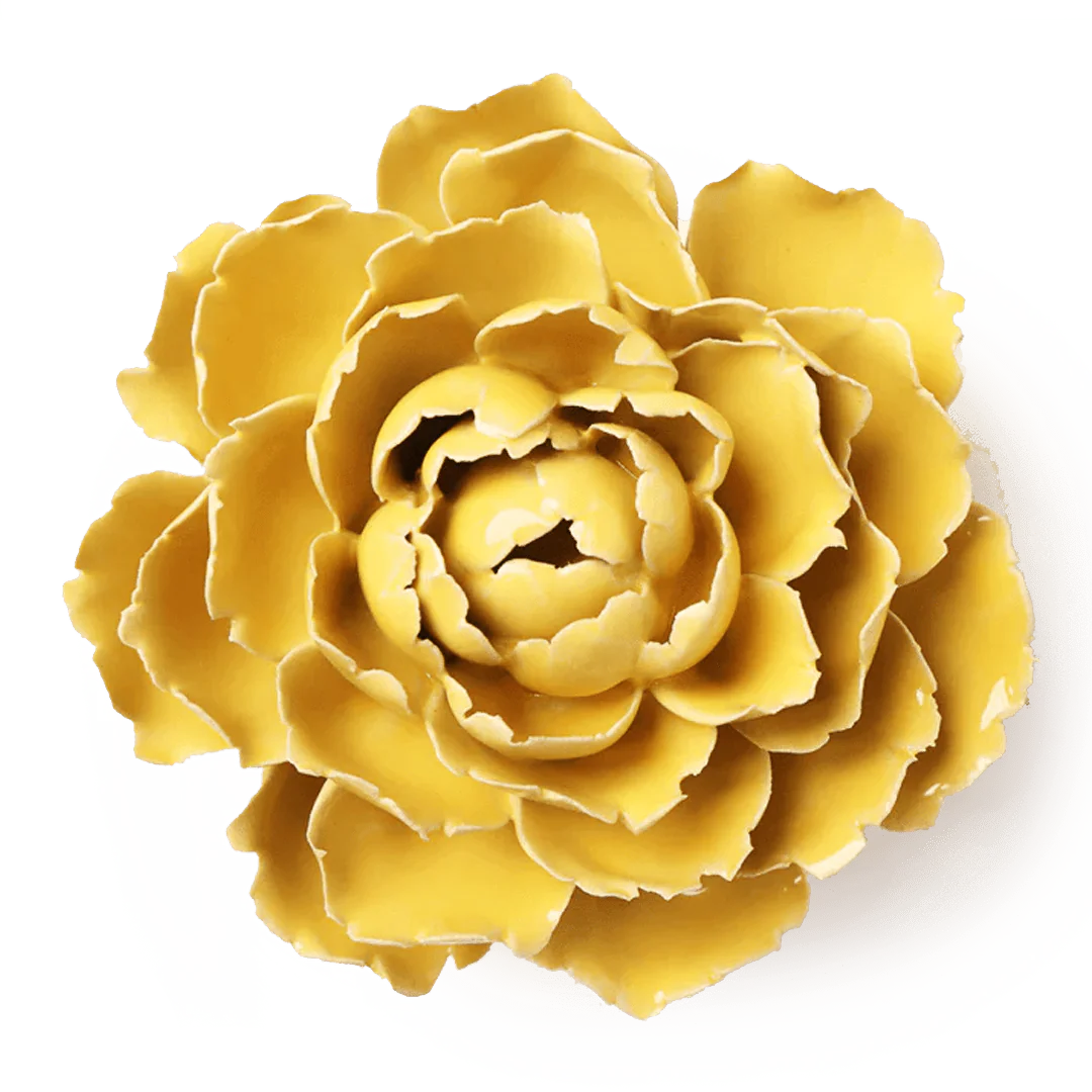 Yellow floral design on a white background