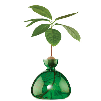 Green glass bottle with a small plant on a white background