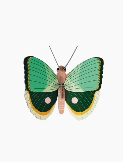 Small Insect Kit: Fern Striped Butterfly