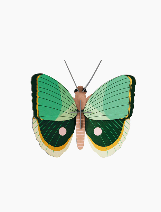Kleines Insektenset: Farngestreifter Schmetterling