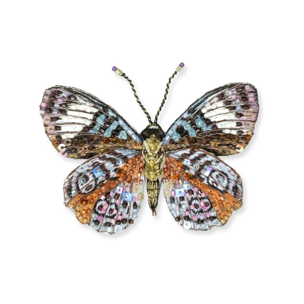 Butterfly with multicolored wings on a white background