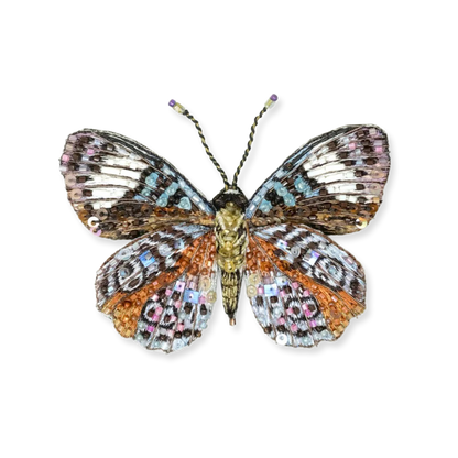 Butterfly with multicolored wings on a white background