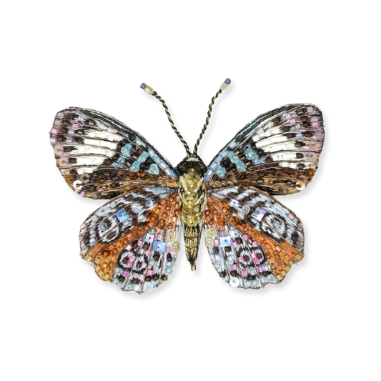 Butterfly with multicolored wings on a white background