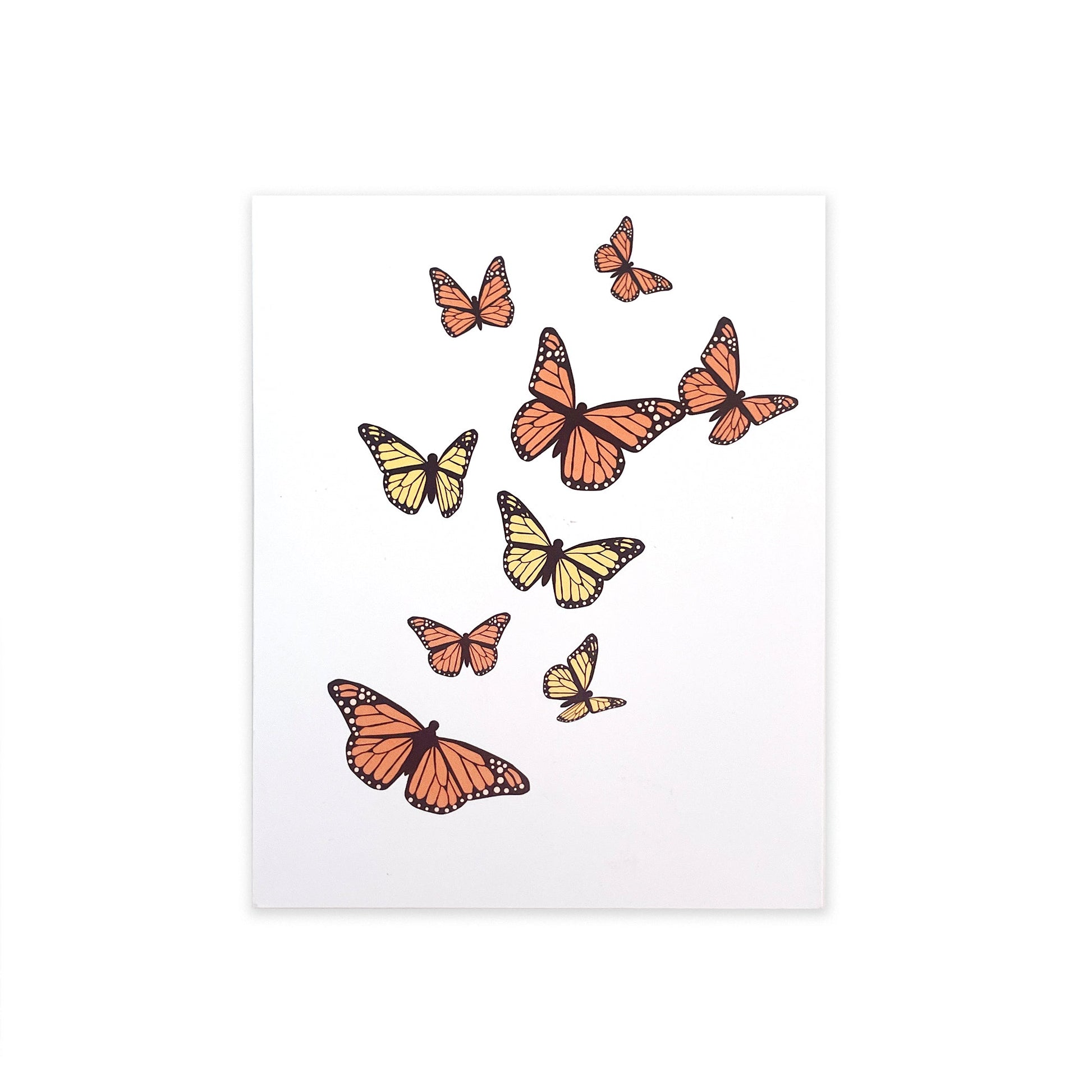 Illustration of butterflies on a white background