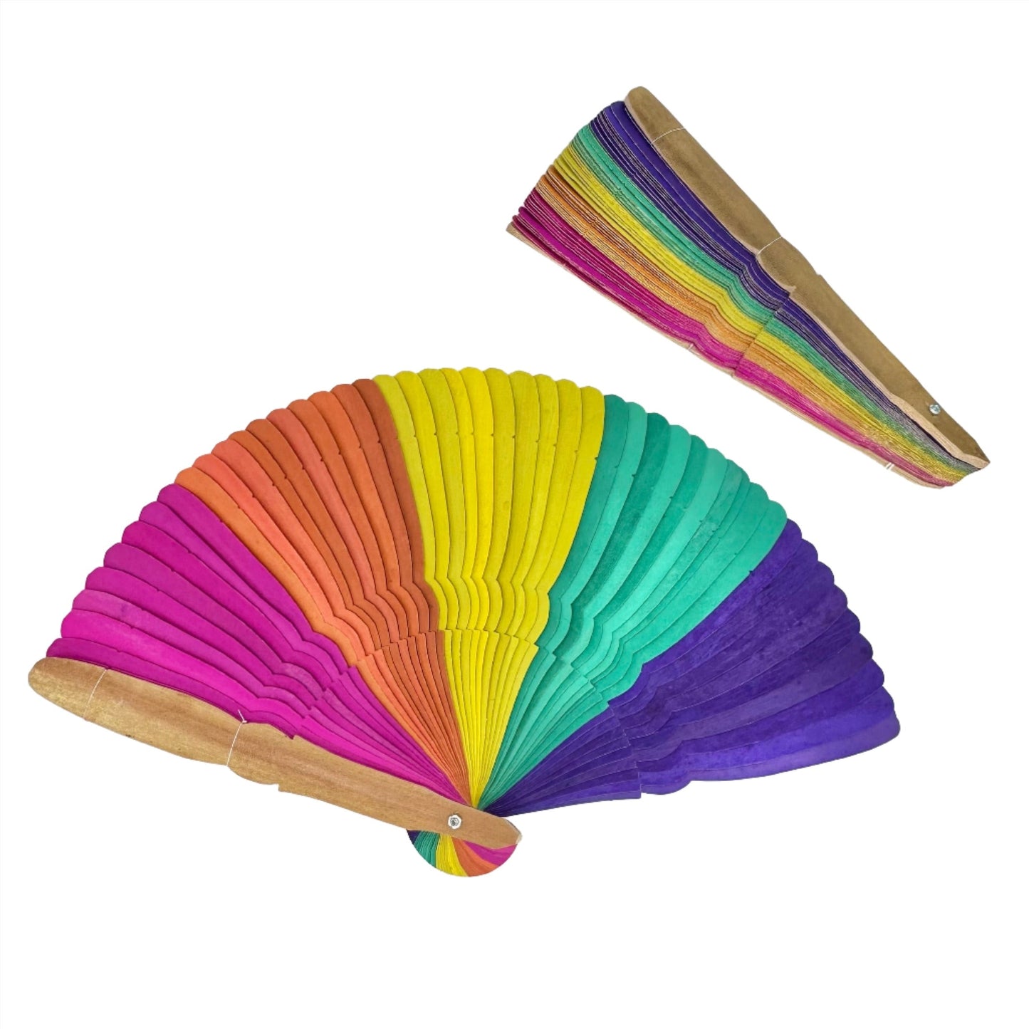 Rainbow Palm Fan