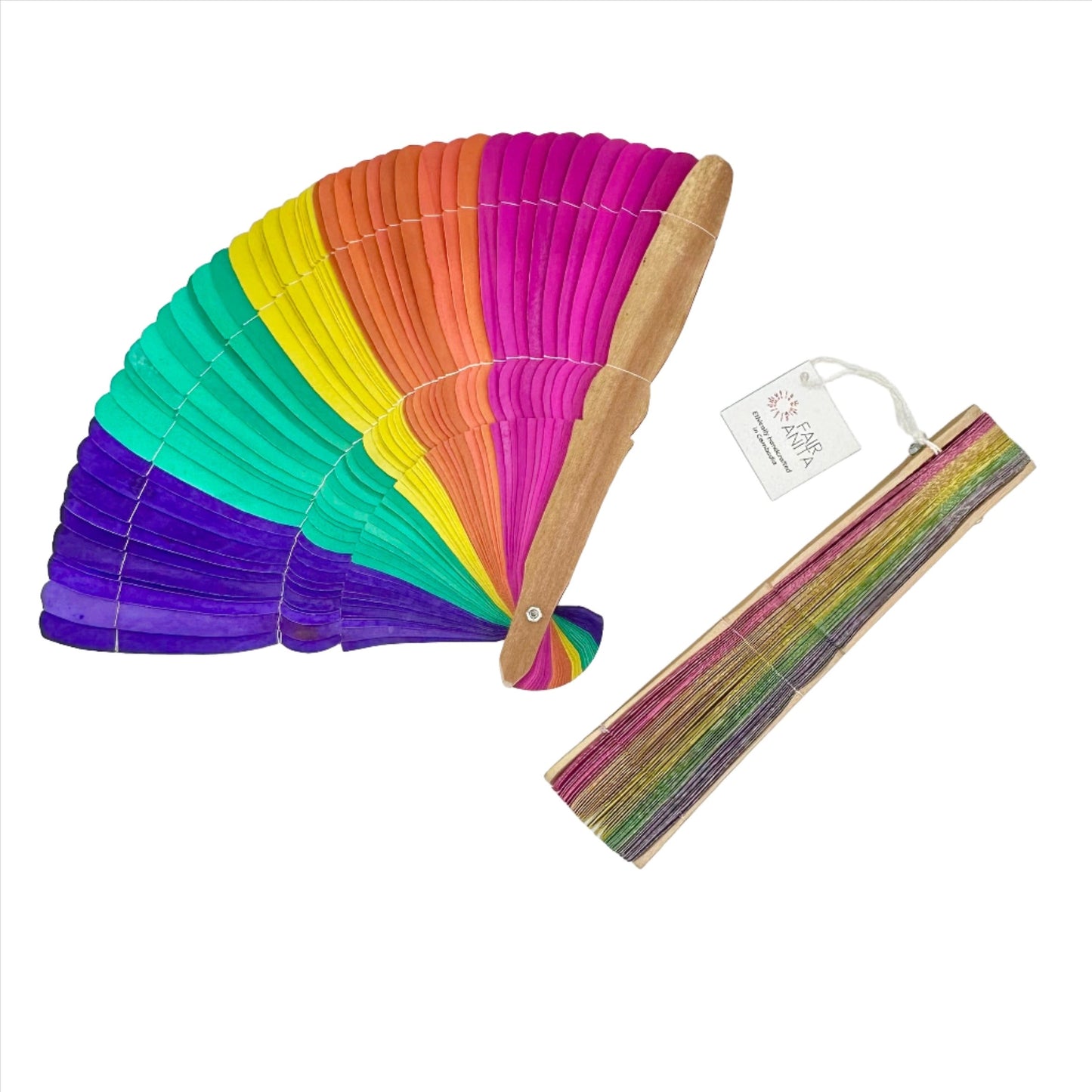 Rainbow Palm Fan