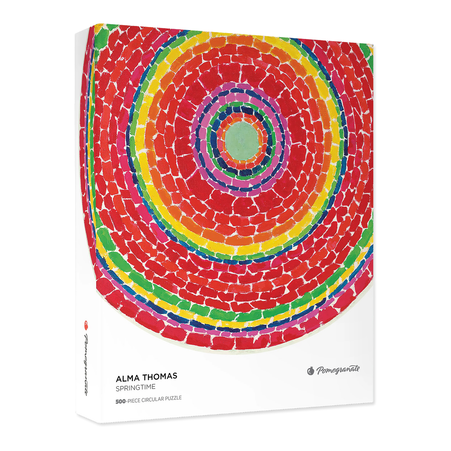 Colorful circular puzzle with concentric circles on a white background