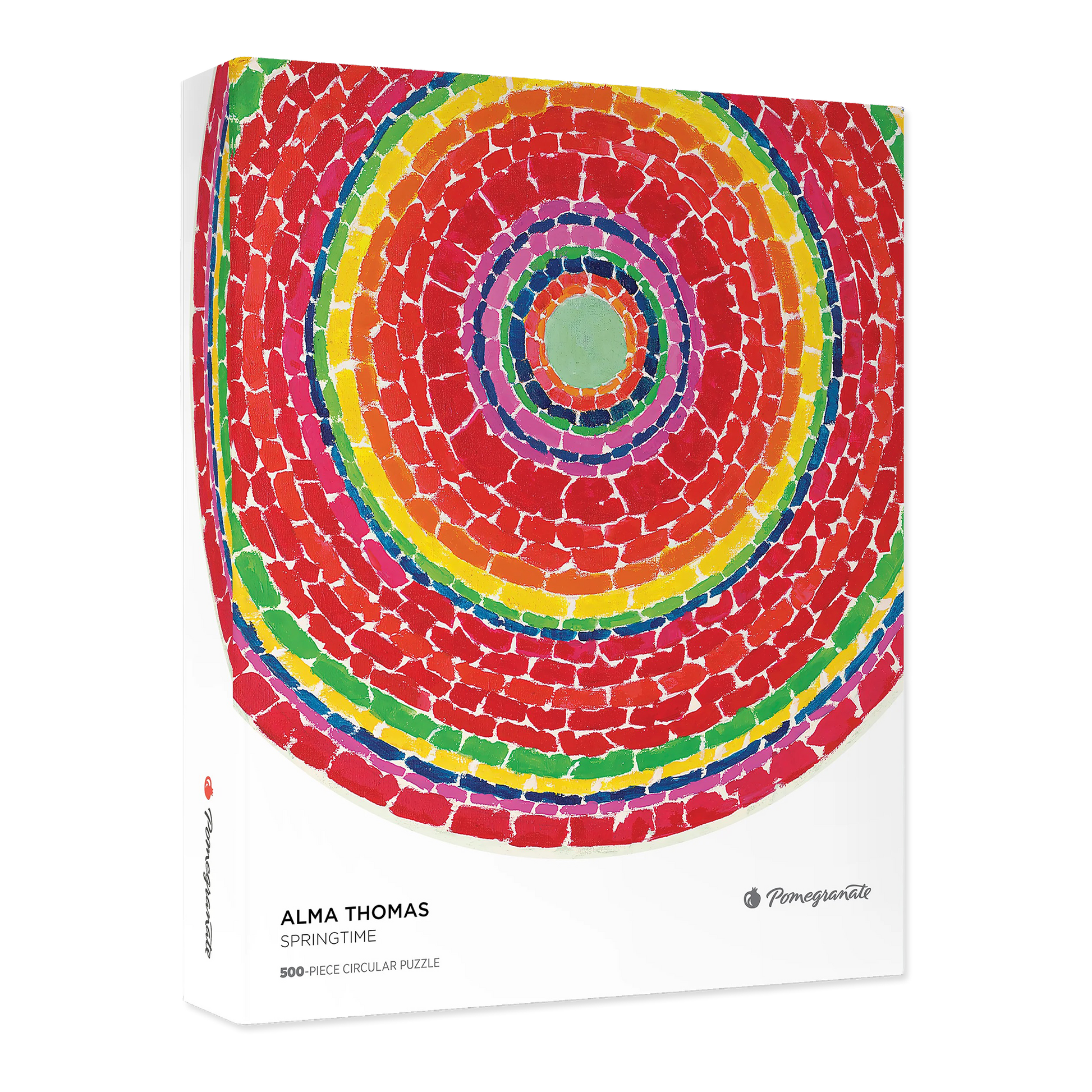 Colorful circular puzzle with concentric circles on a white background