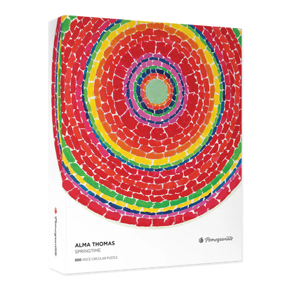 Colorful circular puzzle with concentric circles on a white background