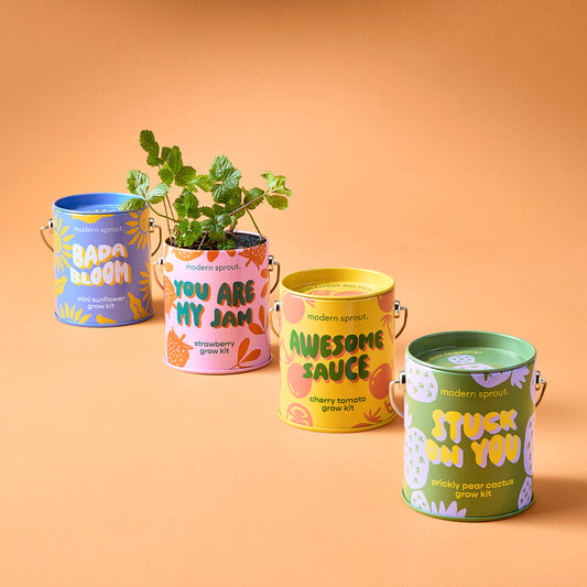 modern sprout prickly pear cactus Complimentary Color Grow Kits
