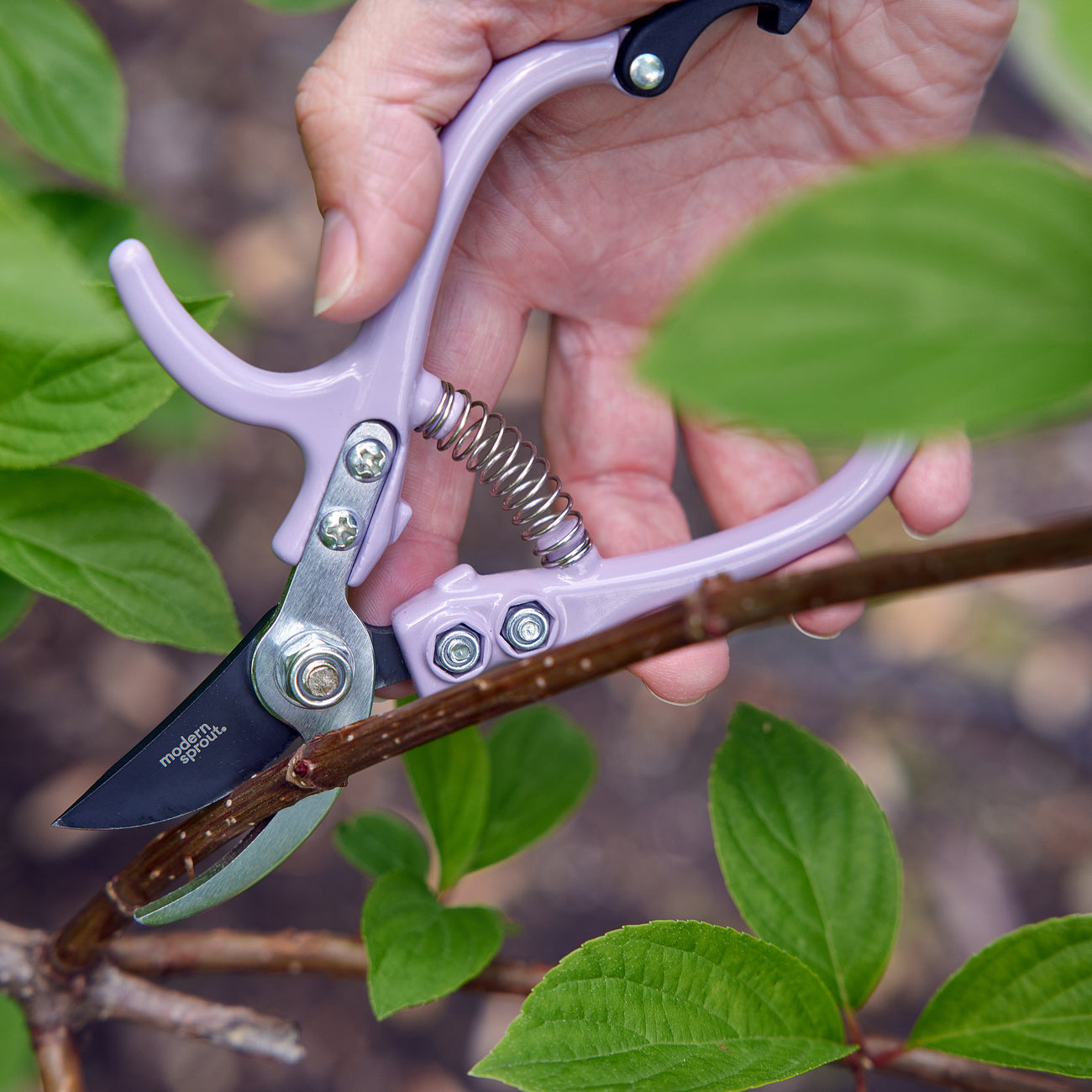 Gardening Pruners (Lavender; in use) - Chrysler Museum Shop