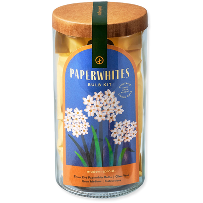 Paperwhites bulb kit packaging with wooden lid on a white background