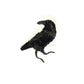 Raven Embroidered Brooch