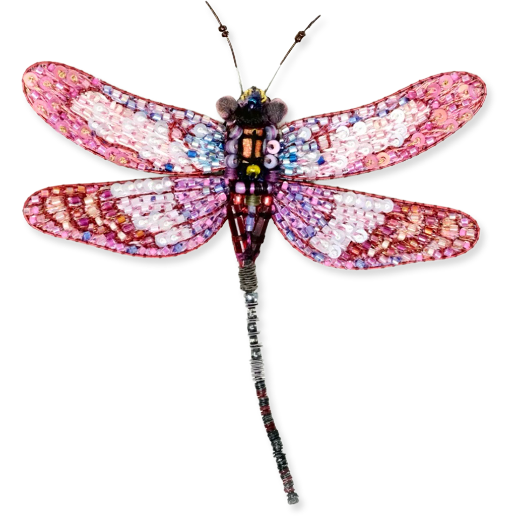 Decorative dragonfly with multicolored wings on a white background