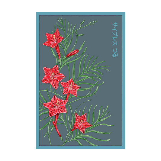 dahlia seed packets Dahlia Flower Seed Packet – Chrysler Museum of Art