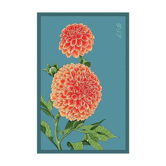 dahlia seed packets Dahlia Flower Seed Packet