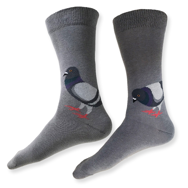 Gray socks with pigeon design on a white background