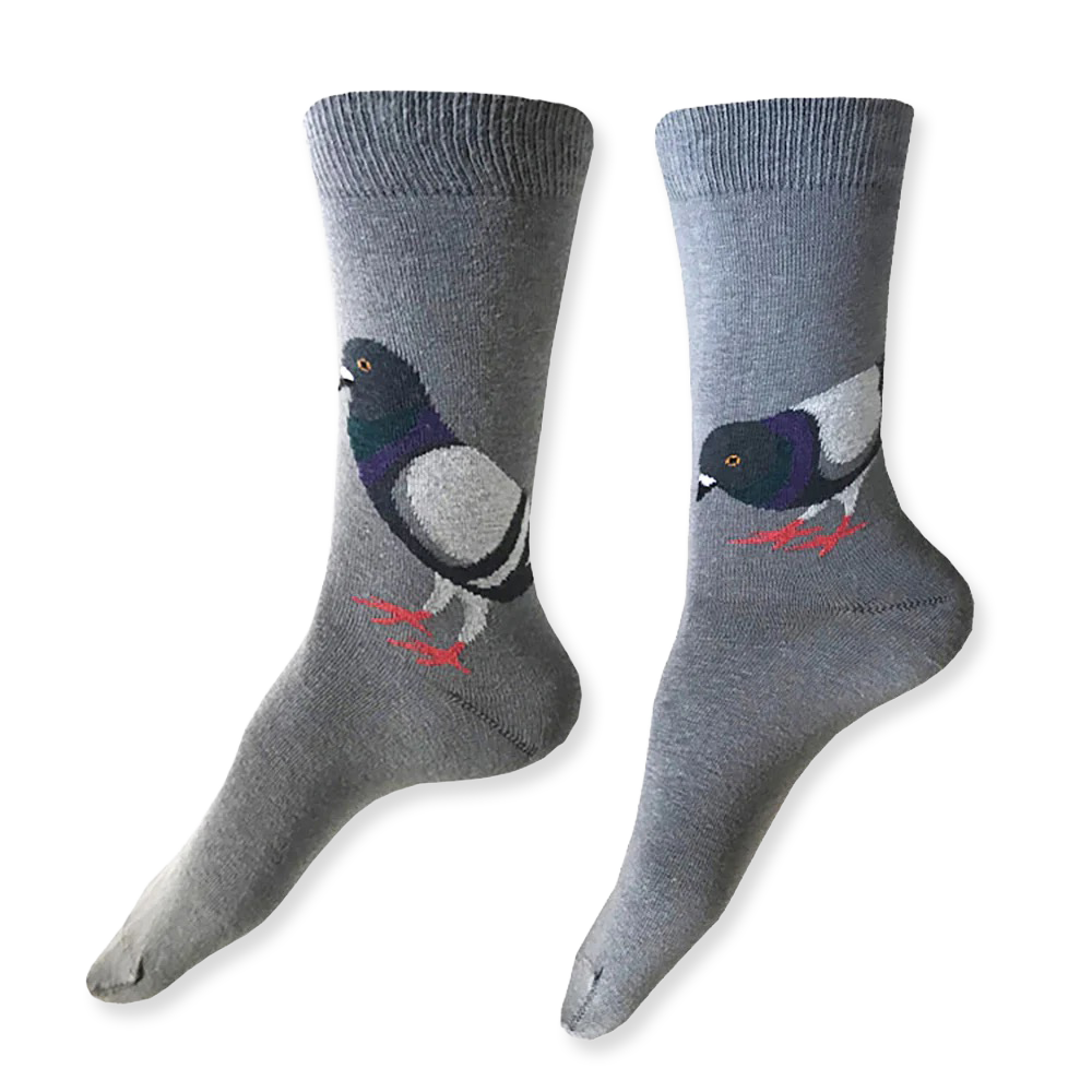 Gray socks with pigeon design on a white background