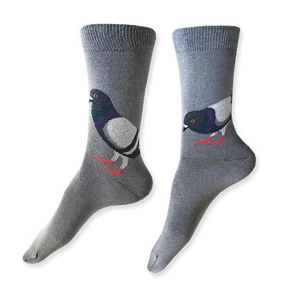 Gray socks with pigeon design on a white background