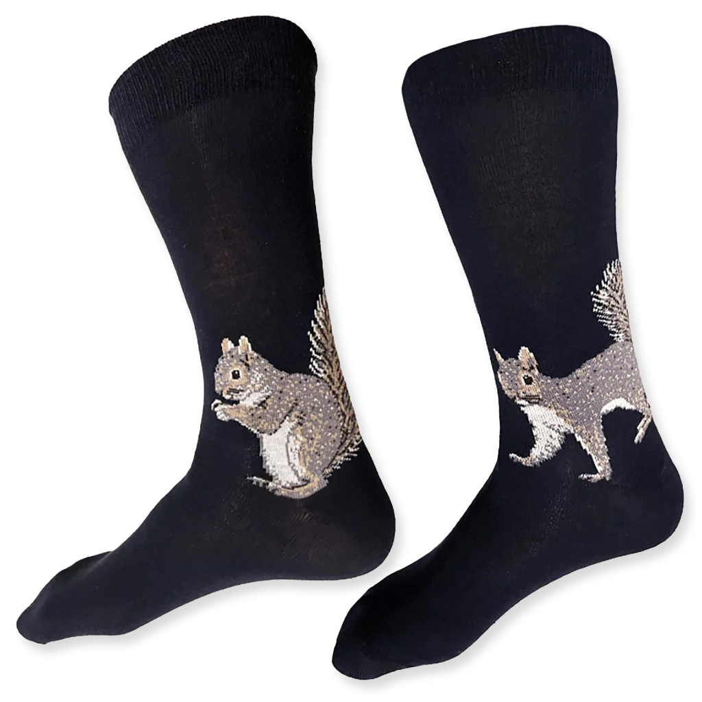Navy socks with squirrel design on a white background