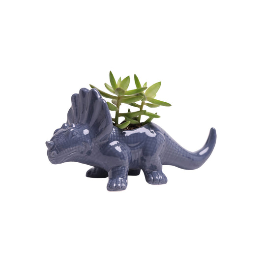 Triceratops Planter: Blue Stone - Chrysler Museum Shop