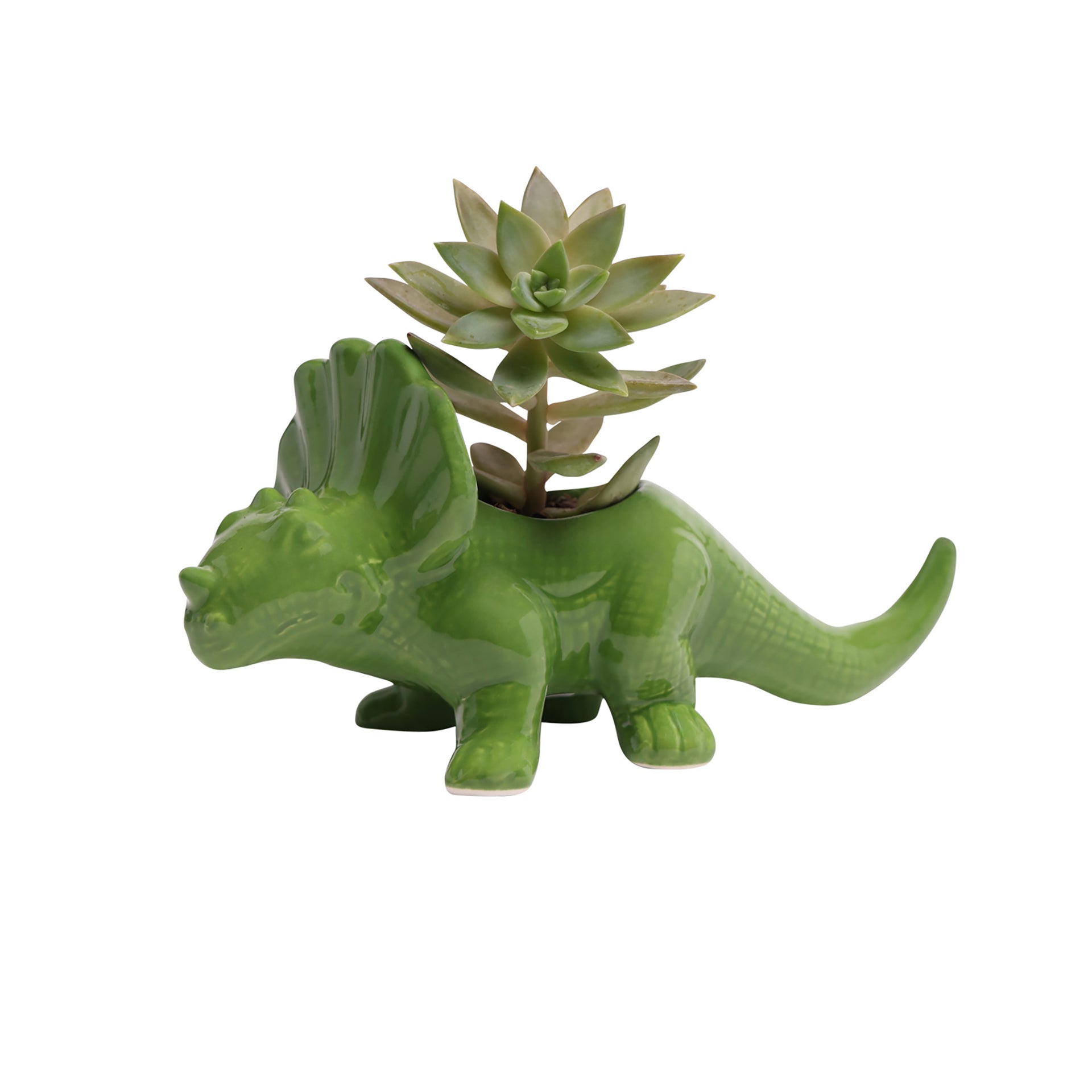 Triceratops Planter: Fluorite Green - Chrysler Museum Shop