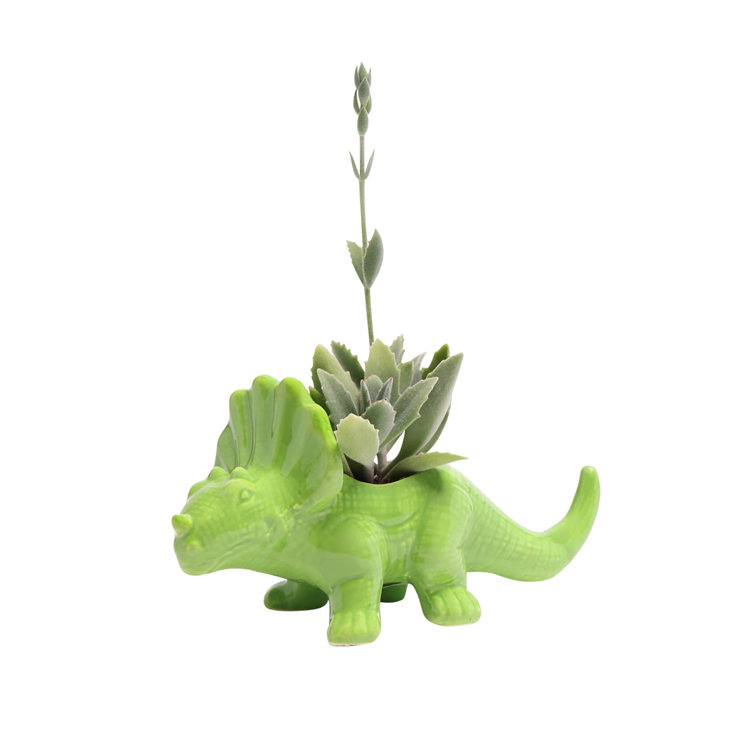 Triceratops Planter: Foliage - Chrysler Museum Shop