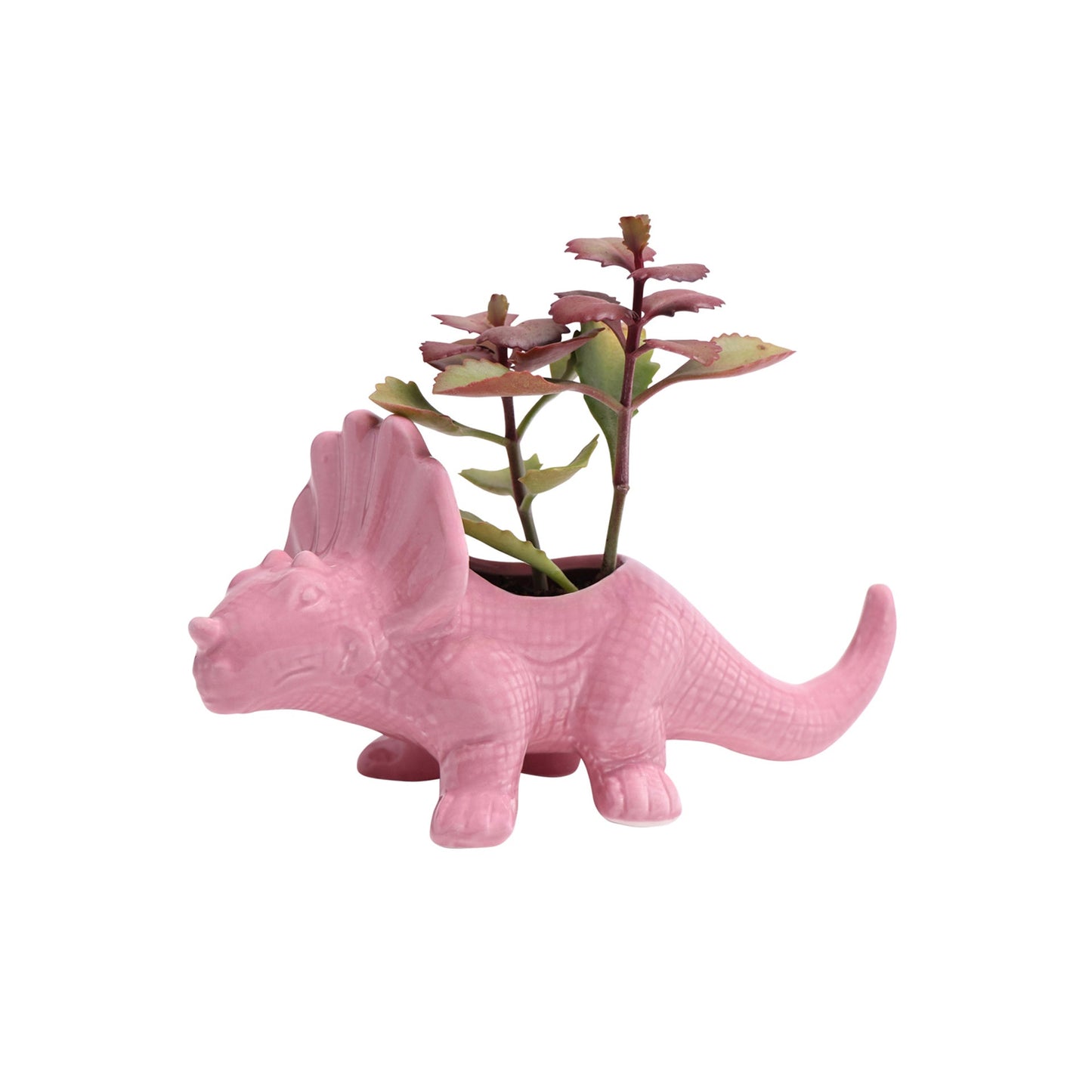 Triceratops Planter: Pink - Chrysler Museum Shop