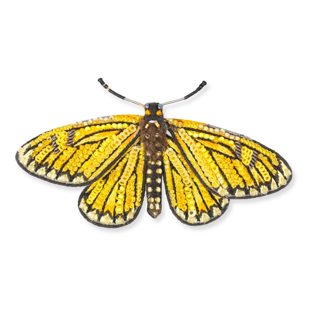 Yellow and black butterfly on a white background