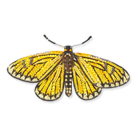 Yellow and black butterfly on a white background