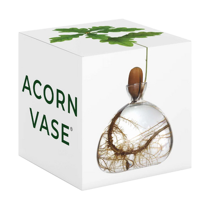 Acorn vase with packaging displaying 'Acorn Vase' branding.