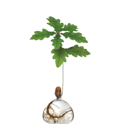 Decorative vase with green leaves on a white background