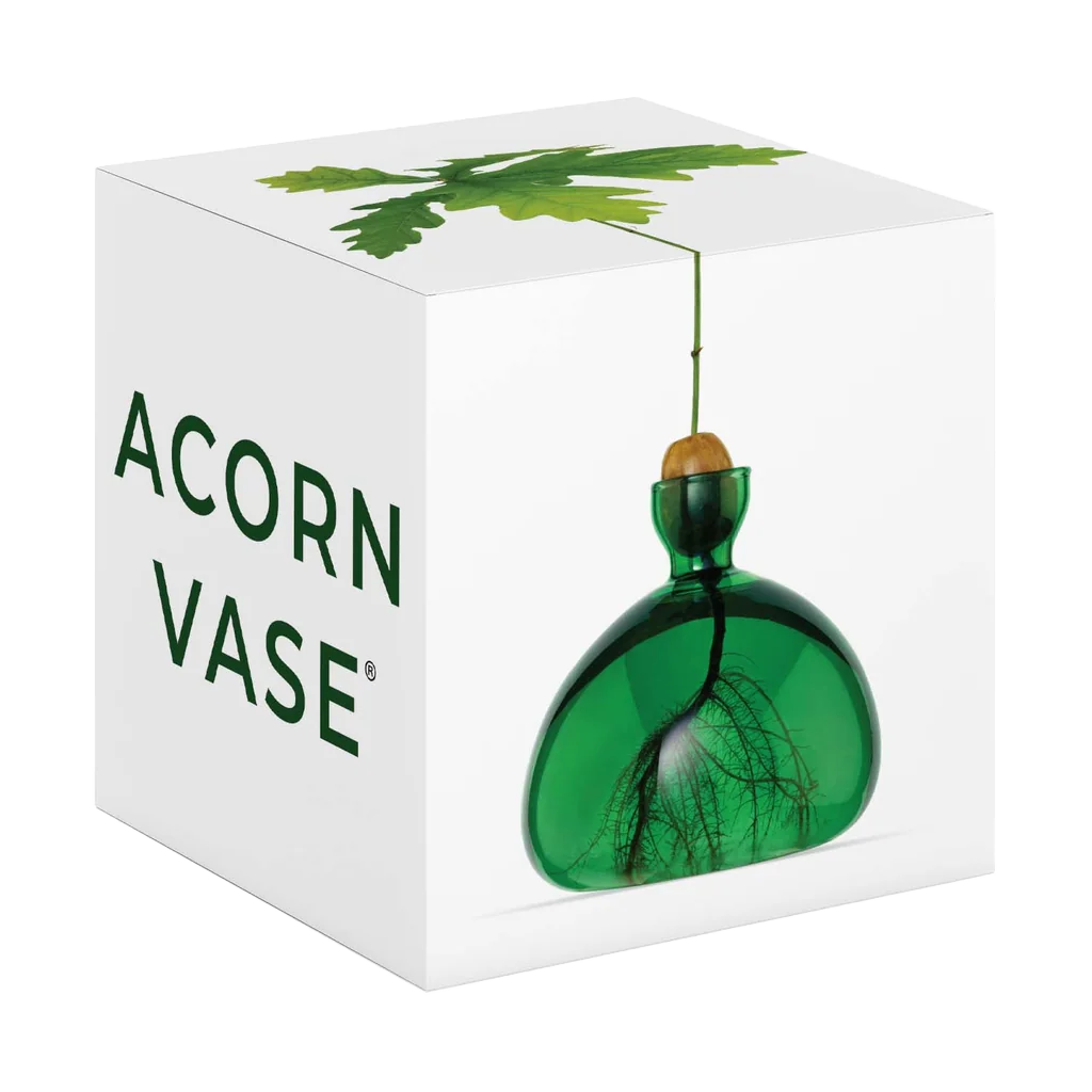 Green vase with leaf design in a white box labeled 'Acorn Vase'.
