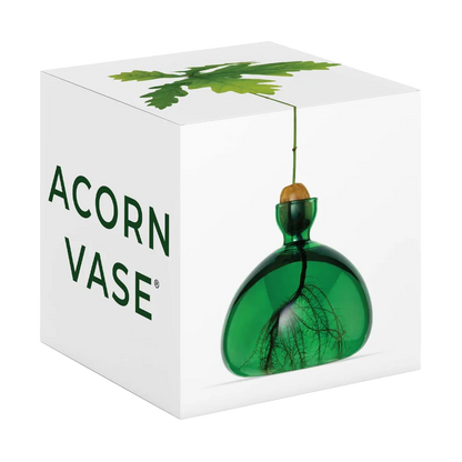 Green vase with leaf design in a white box labeled 'Acorn Vase'.