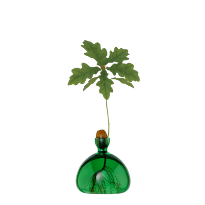 Green glass vase with a plant on a white background